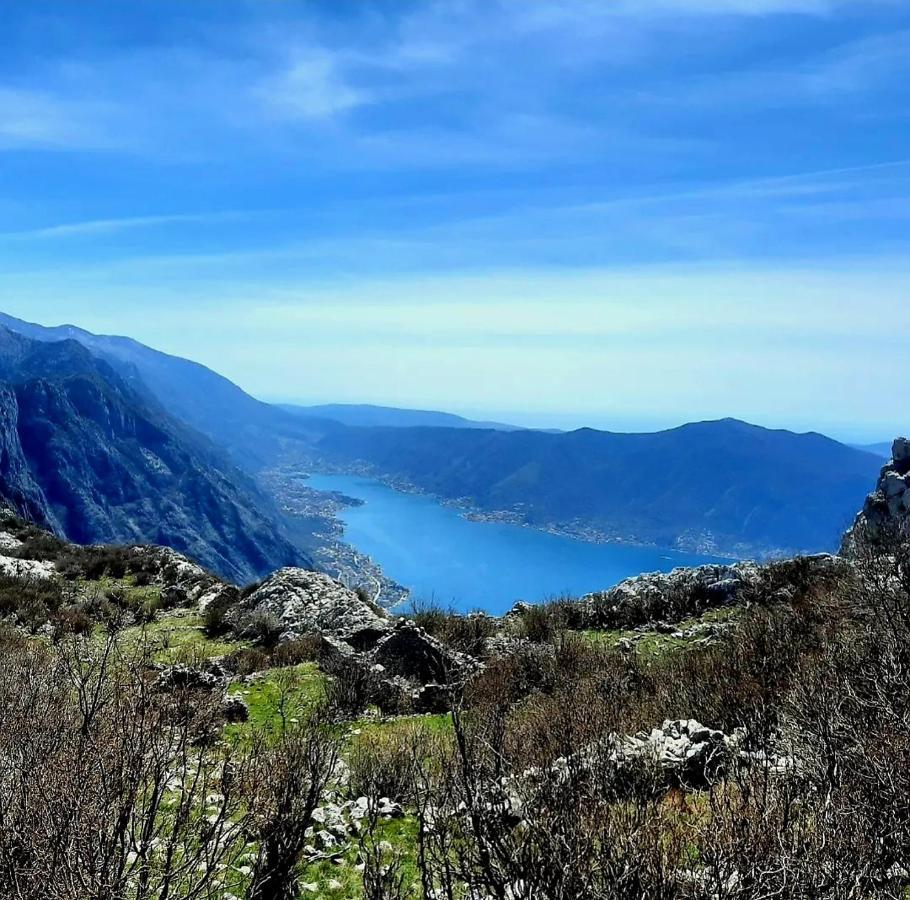 Apartments Pejanovic Kotor Buitenkant foto