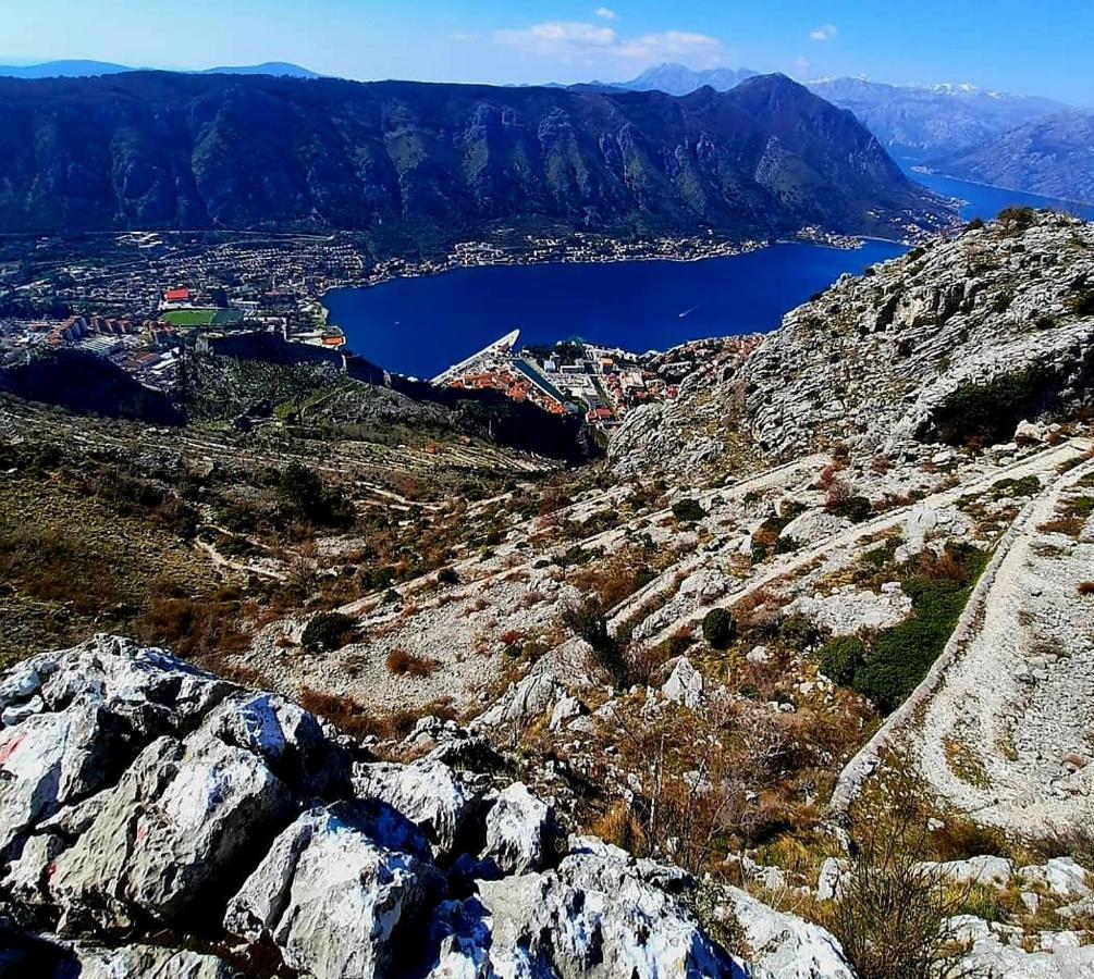 Apartments Pejanovic Kotor Buitenkant foto