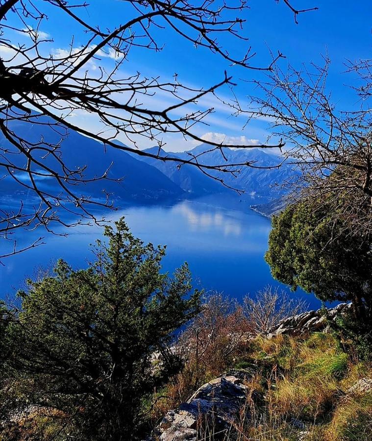 Apartments Pejanovic Kotor Buitenkant foto
