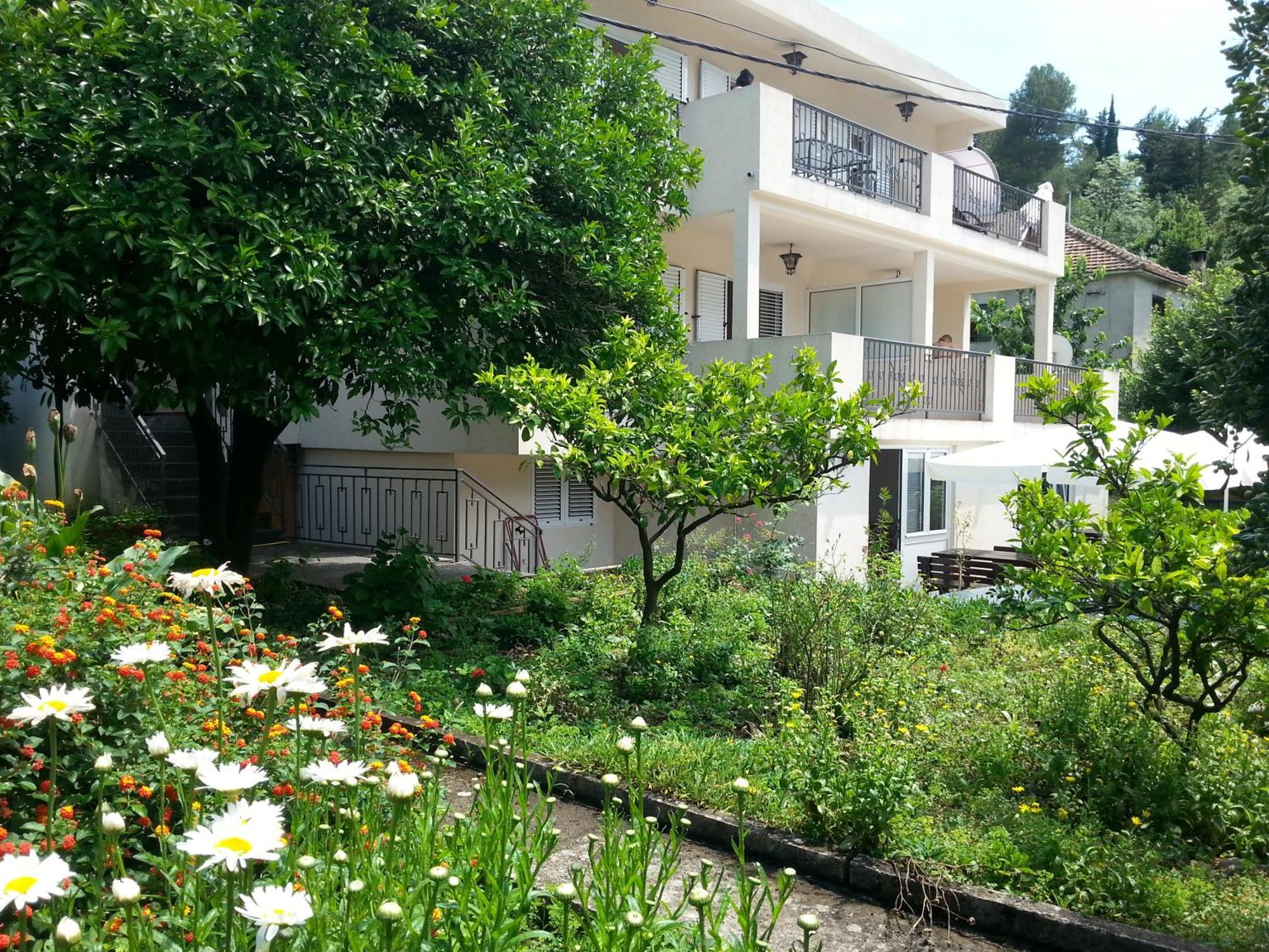 Apartments Pejanovic Kotor Buitenkant foto